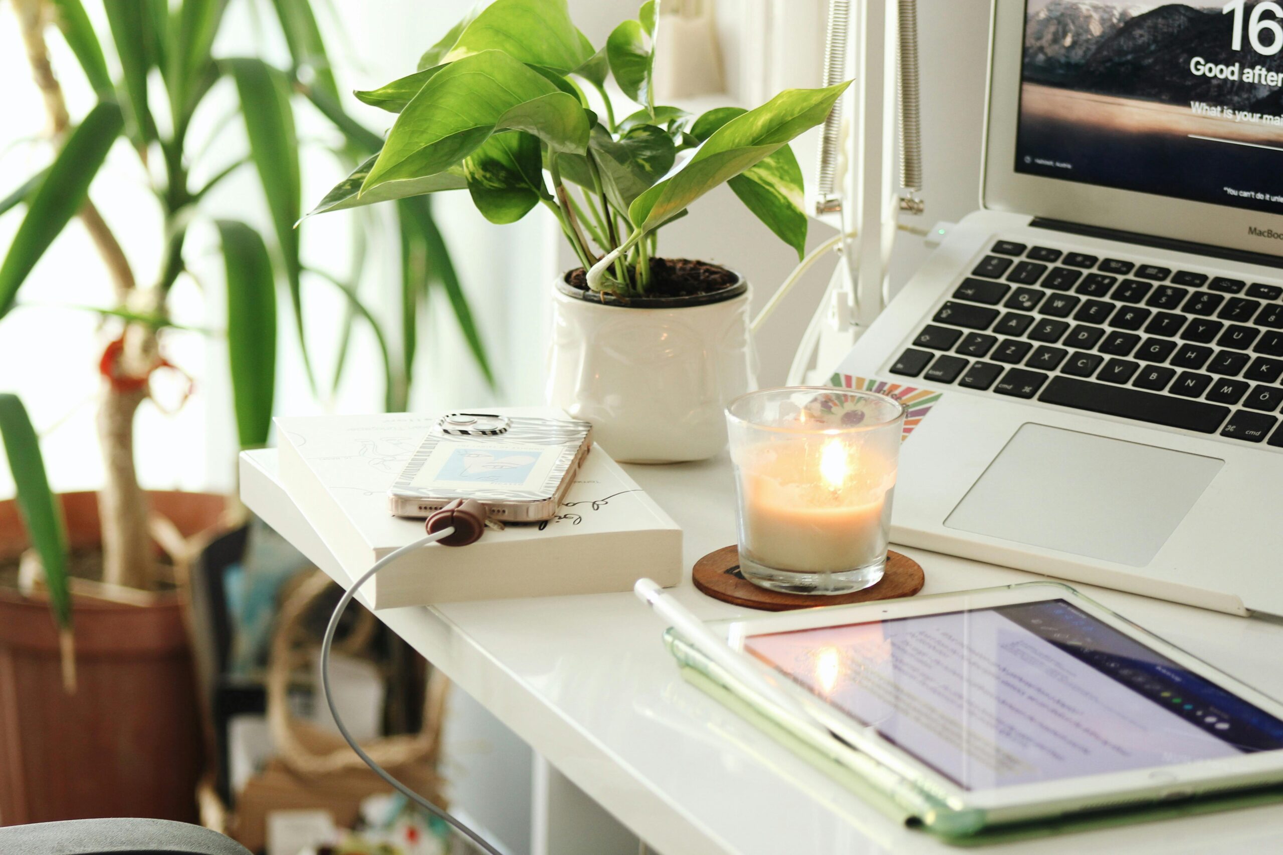 A desk with plants