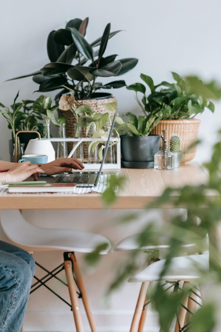 Een tafel met planten en laptop